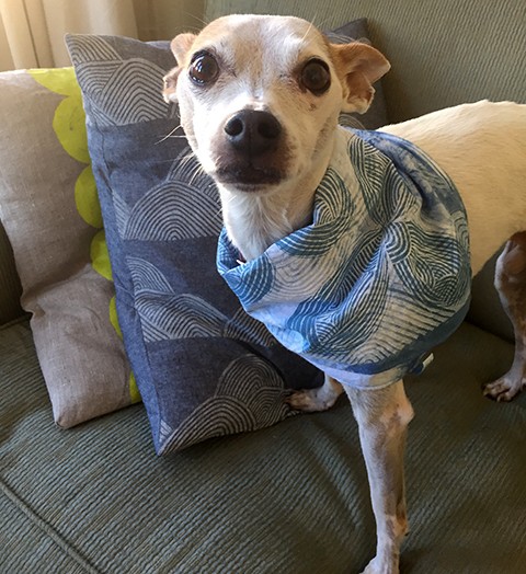 Gus wearing an indigo dyed and block printed bandanna by Jen Hewett