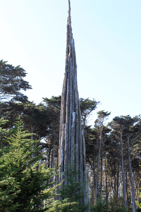 Spire by Andy Goldsworthy. Located in the Presidio of San Francisco.